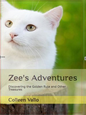 cover image of Zee's Adventures